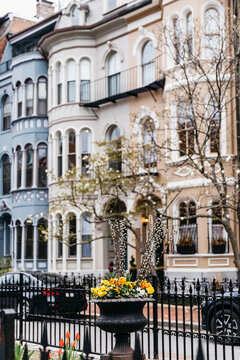 Boston Brownstones Architecture  with Sidewalk 