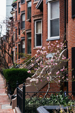 Boston Brownstones Architecture  with Sidewalk 