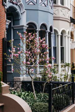 Boston Brownstones Architecture  with Sidewalk 