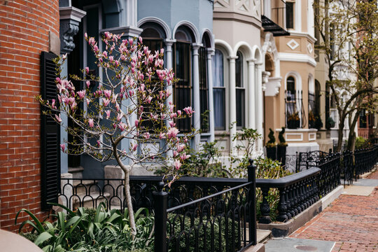 Boston Brownstones Architecture  with Sidewalk 