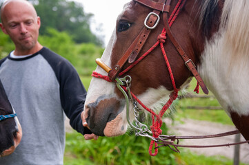 Man holding the reins of a horse
