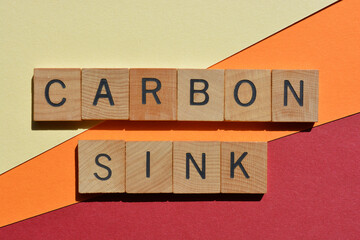 Carbon Sink, words in wood alphabet letters.