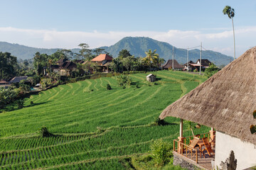 Asian Village With A Rice Paddy Terrace