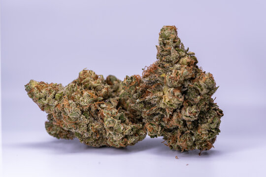 Cannabis Flower Macro - Strain: Moose & Lobster