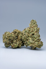 Cannabis Flower Macro - Strain: Deadhead OG