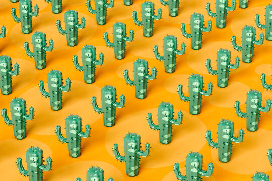 Cactus on orange background