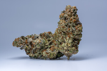 Cannabis Flower Macro - Strain: Forest Park Purple