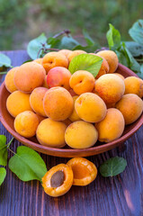 Fresh, ripe organic apricots in a bowl with leaves table