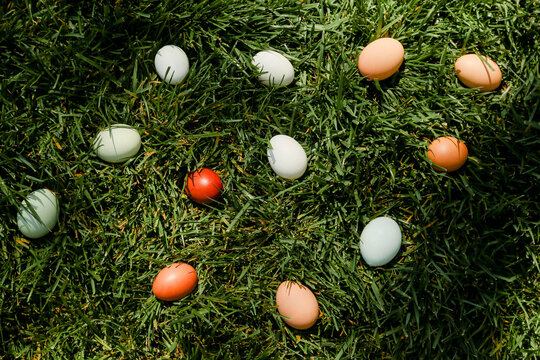 Organic Eggs