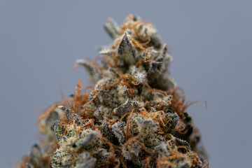 Cannabis Flower Macro - Strain: Jet Fuel