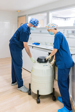Medical specialists with cryo bank in IVF laboratory