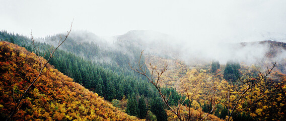 Autumnal Mountain Scene
