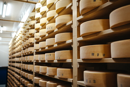 Cheese aging in a cellar on wooden racks