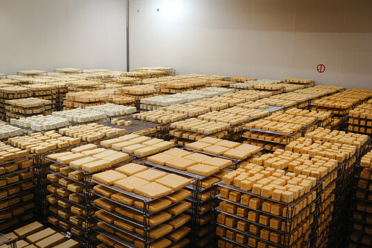 All sorts of cheese aging in a cellar on racks