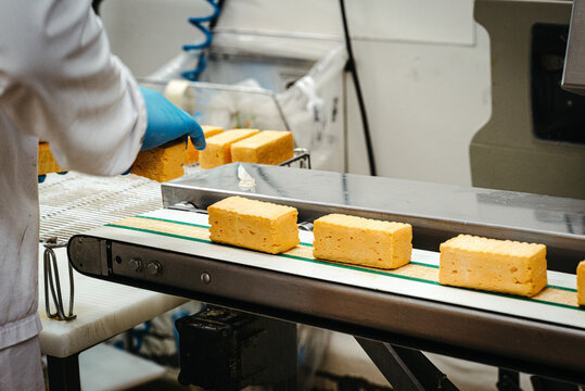 Industrial cutting and packing of cheese