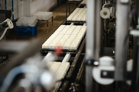 The making of cheese