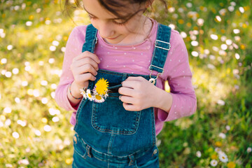 Close-up of little girl with daisies and an overall at field