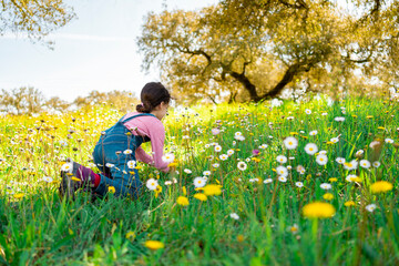 Child girl picking flowers at field in spring