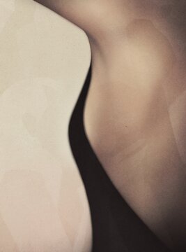 Fragment of a beautiful female body