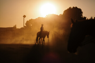 Silhouette of a woman riding a horse
