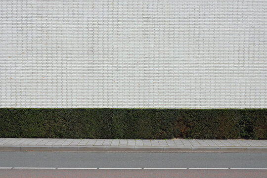 white wall with hedge
