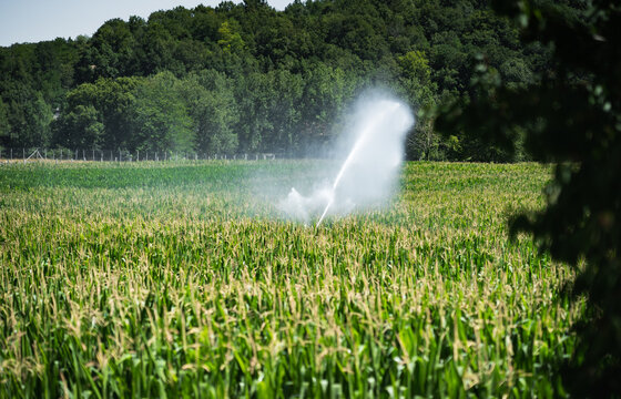 Irrigation system