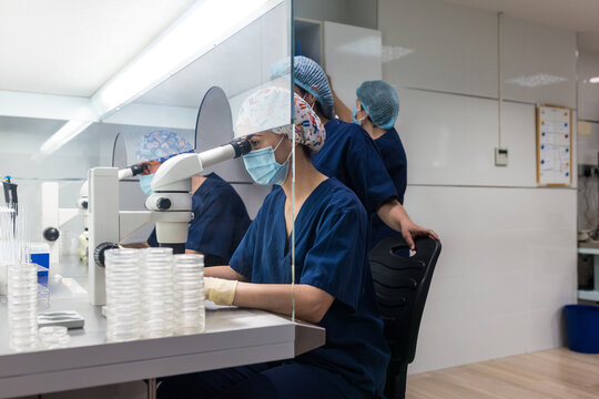 Group of embryologists conducting laboratory fertilization
