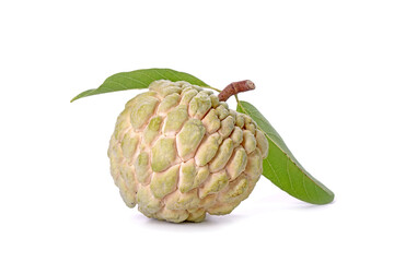 Obraz premium Custard apple isolated on white background. The sugar-apple, sweetsop is the fruit of Annona squamosa. Premium quality sugar-apple from Thailand
