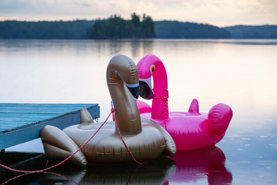 Inflatable Pool Toy Flamingo and Swan Floating on Summer Cottage
