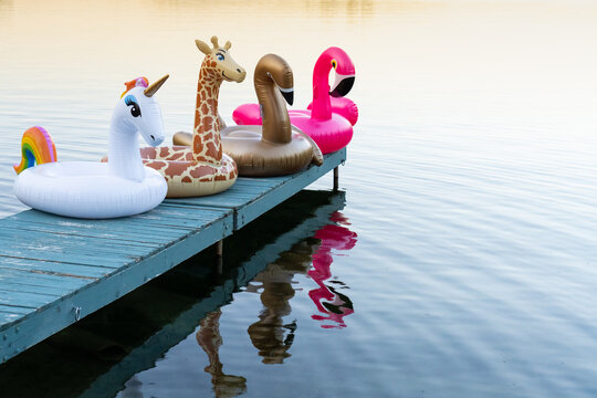 Fototapeta Inflatable Pool Toys on Summer Cottage Lake Dock at Sunset