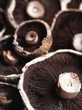 Portobello Mushrooms