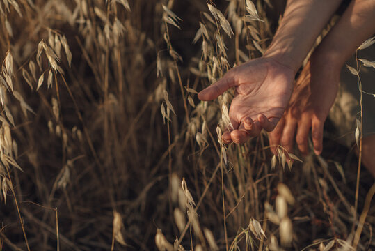 Female Hands Touching Grass