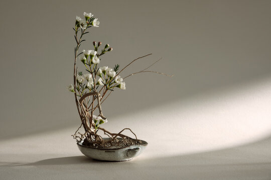 Japanese style flower arrangement Ikebana