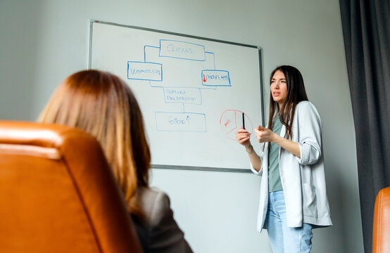 Woman explaining strategy of project to colleague in office