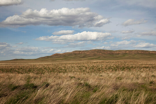 The prairie landscape in Montana.