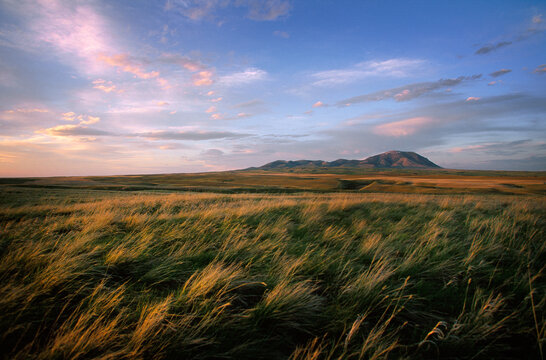 The prairie landscape in Montana.