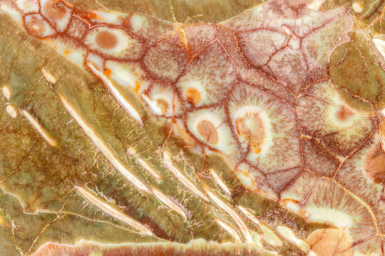 Spiderweb Jasper