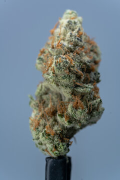 Cannabis Flower Macro - Strain: Sergiovise