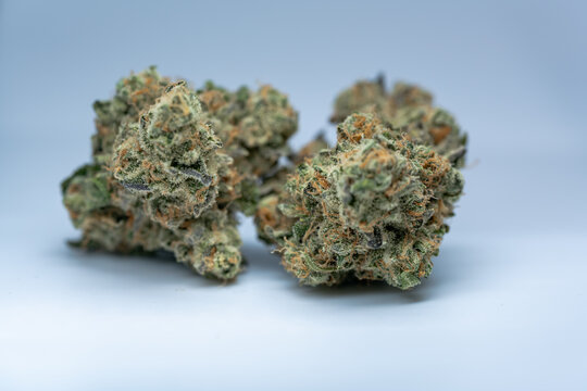 Cannabis Flower Macro - Strain: VVS Chem 2