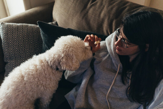 Portrait of a beautiful brunette woman and her white poodle. 