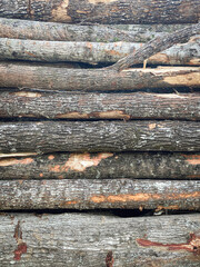 A Stack Of Freshly Harvested Wood Trees
