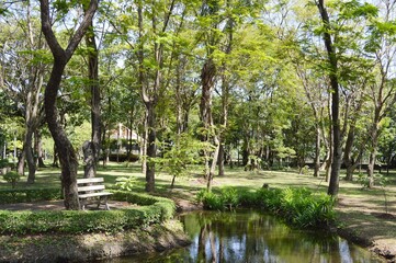 nature garden in country Thailand
