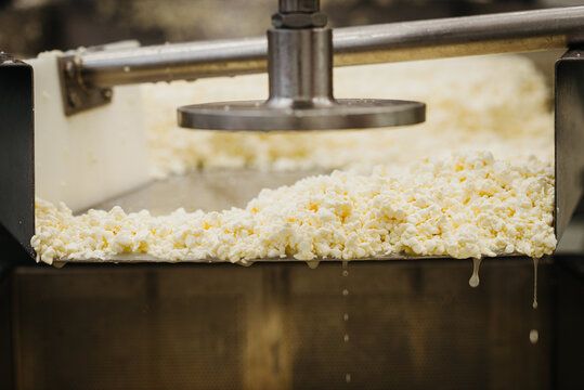 the making of ricotta cheese