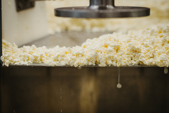 the making of halloumi grill cheese