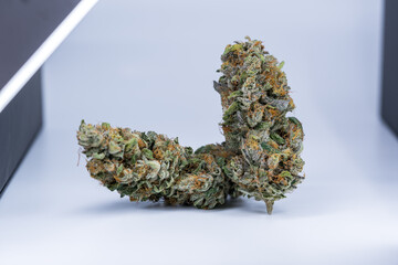 Cannabis Flower Macro - Strain: Island Zkittles