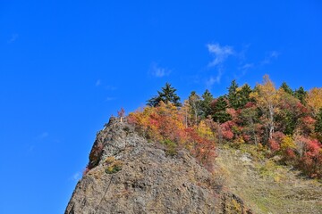青空バックに見上げるちょうど見頃の豊平峡の紅葉情景＠北海道