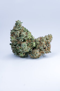 Cannabis Flower Macro - Strain: 