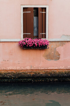 Pink flowers in a window box over a Venice canal