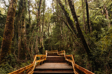 Old wooden staircase through the woods - obrazy, fototapety, plakaty