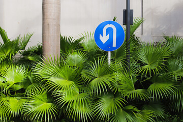 U-turn, Dead-end sign in the thicket